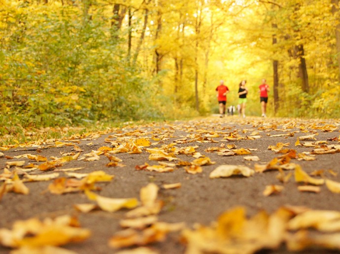 Fit und gesund durch die nass-kalte Jahreszeit: Mit diesen fünf Tipps gelingts