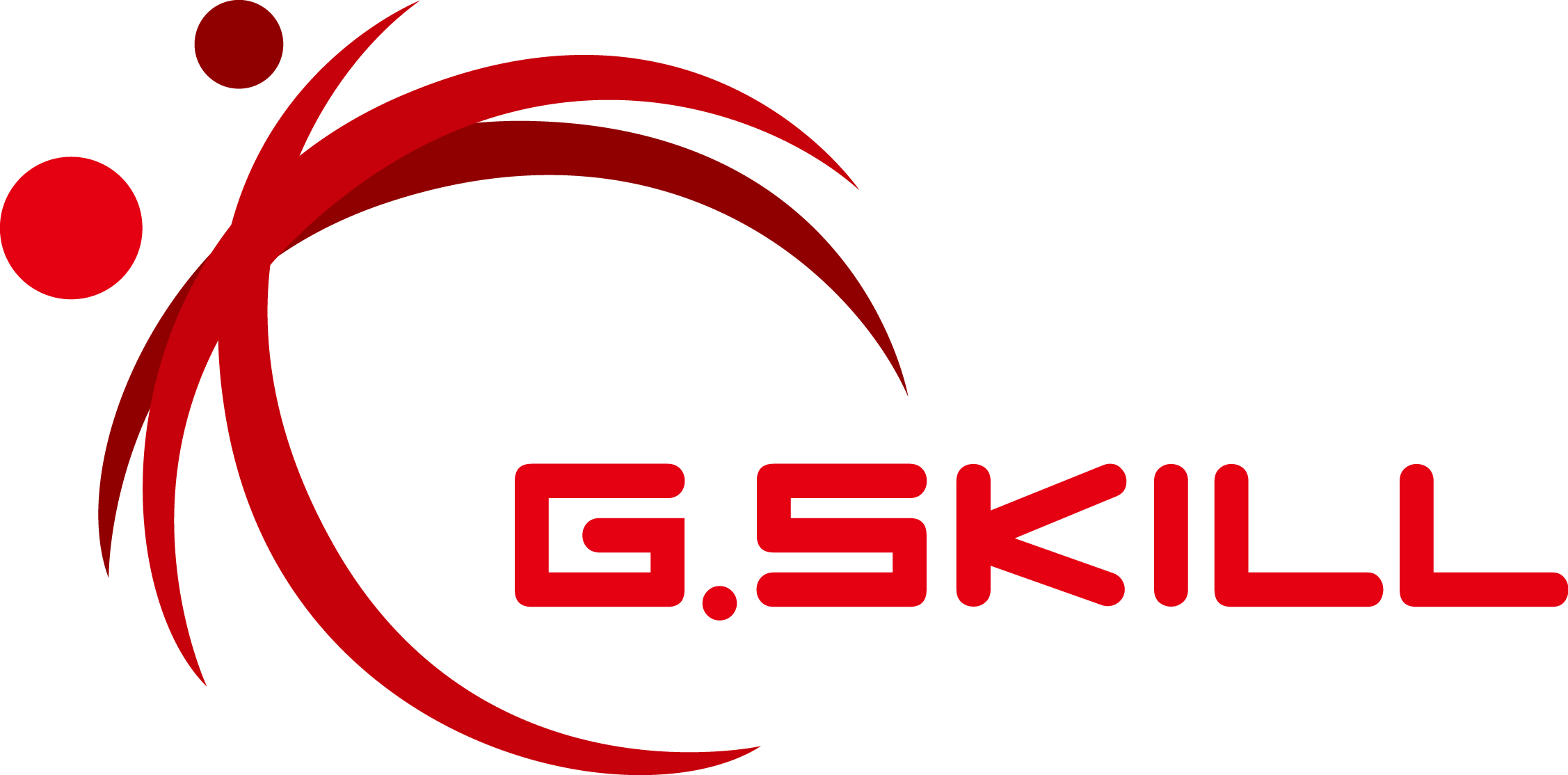 G.SKILL International Enterprise Co., Ltd.-Logo
