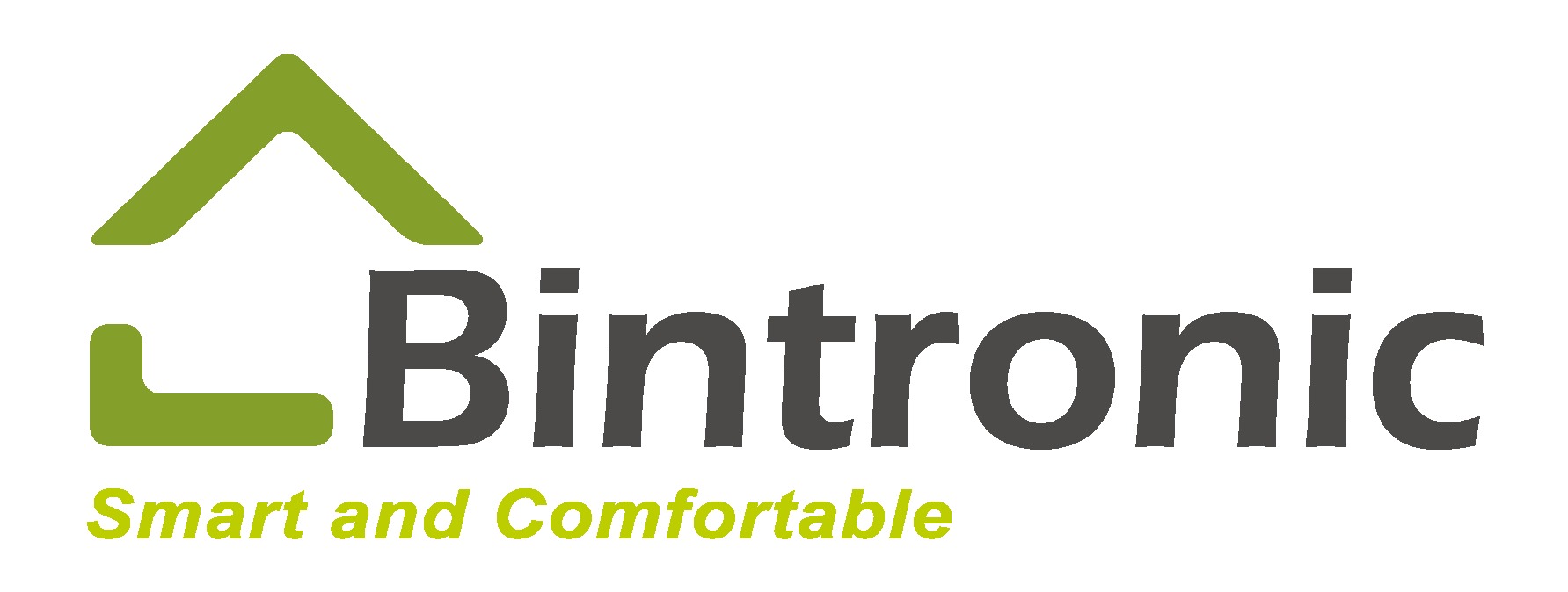BINTRONIC ENTERPRISE.CO., LTD.-Logo