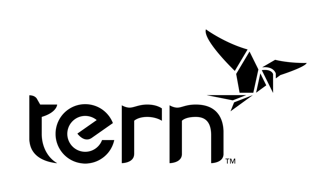 Tern Taiwan Limited-Logo