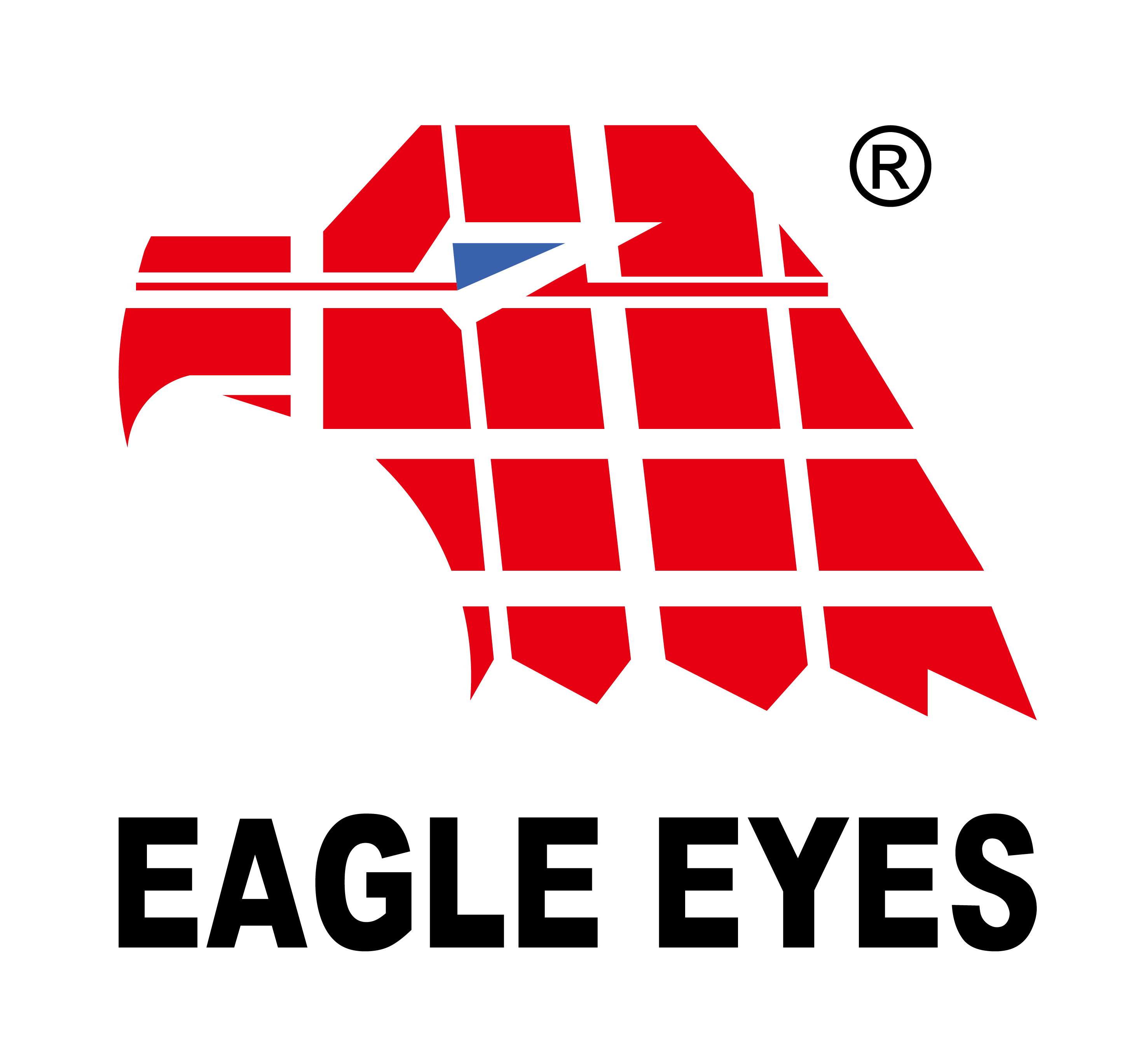 龍鋒企業股份有限公司（Eagle Eyes）-Logo