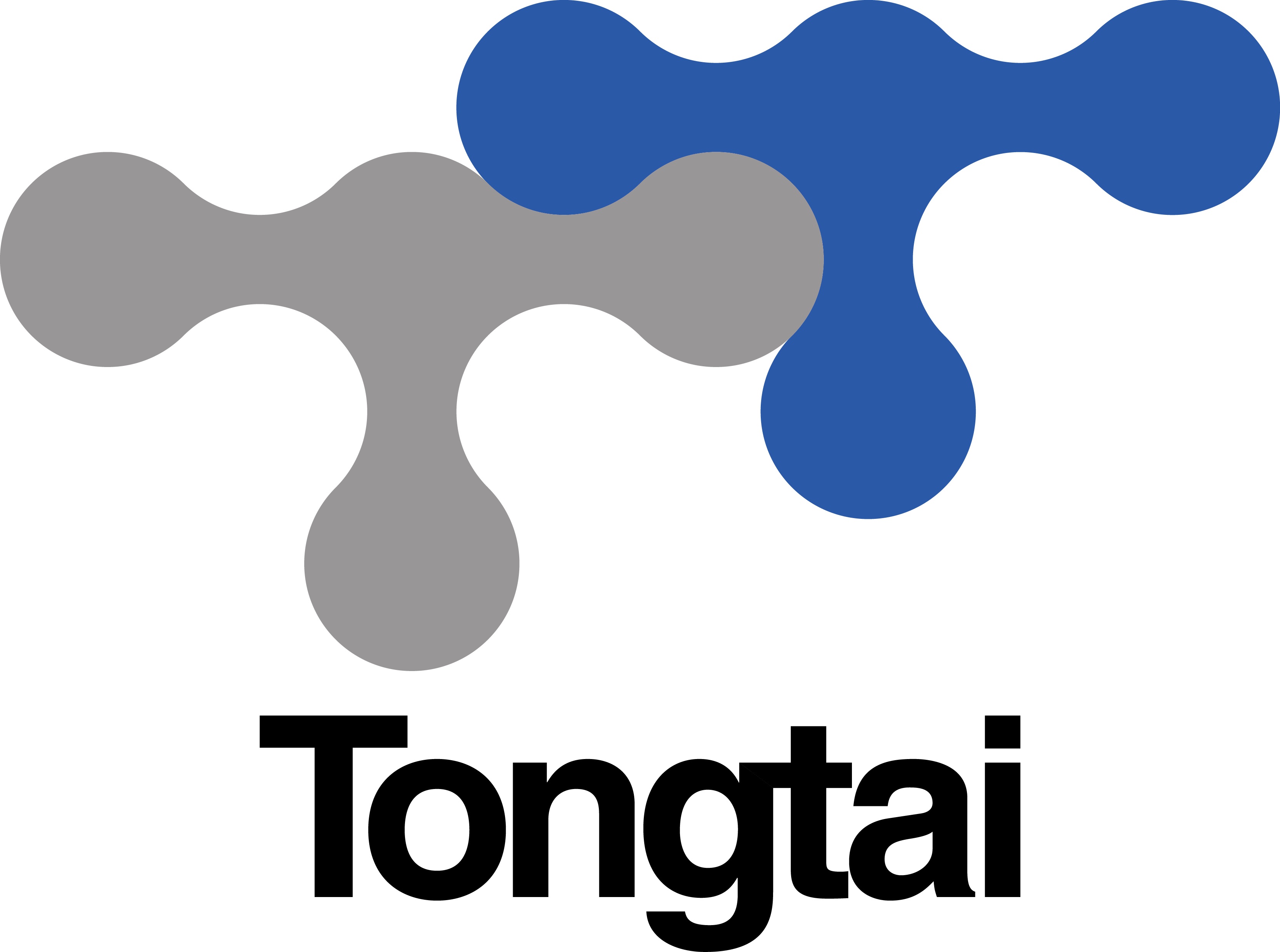 Tongtai Machine & Tool Co., Ltd.-Logo