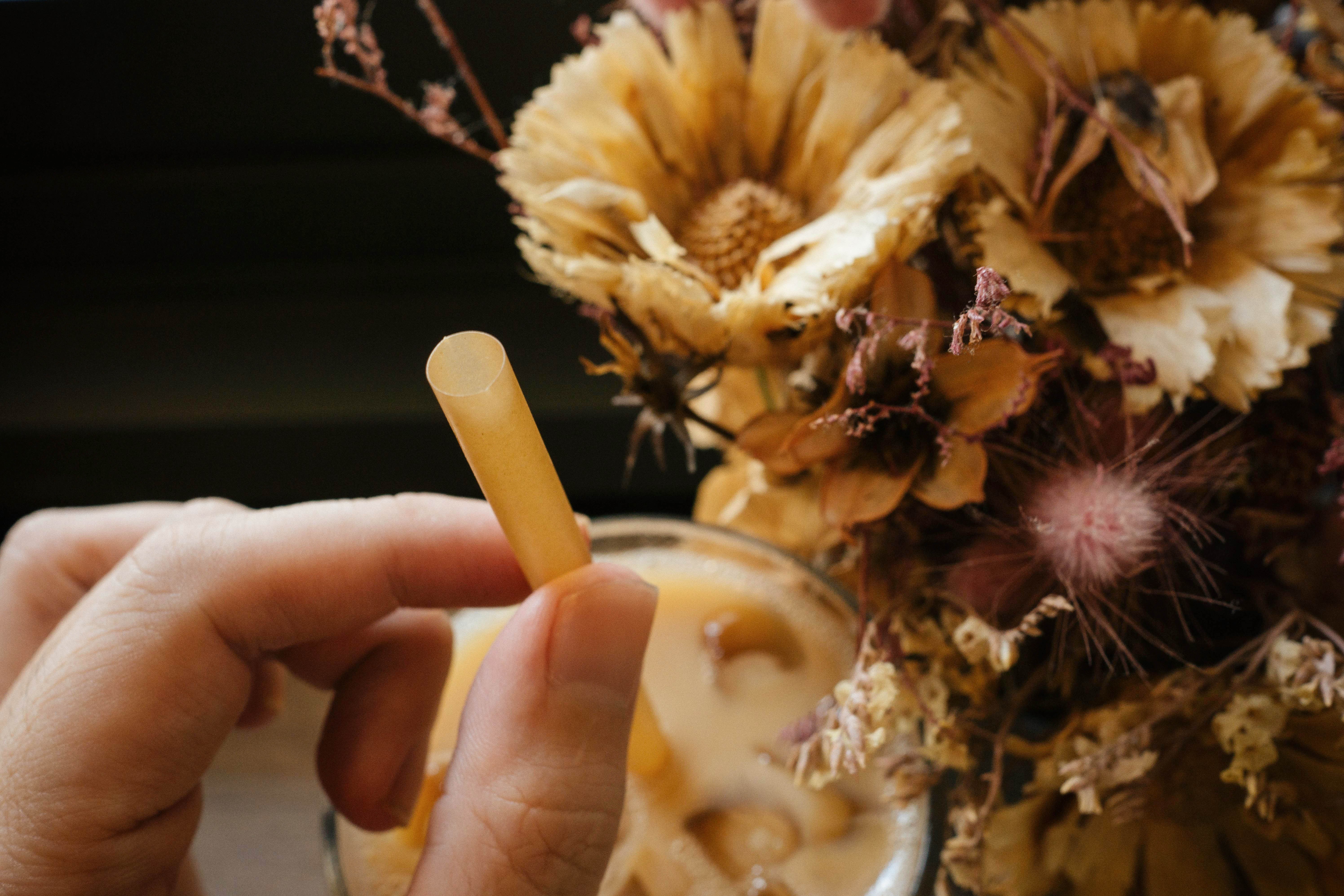 Sugarcane straws
