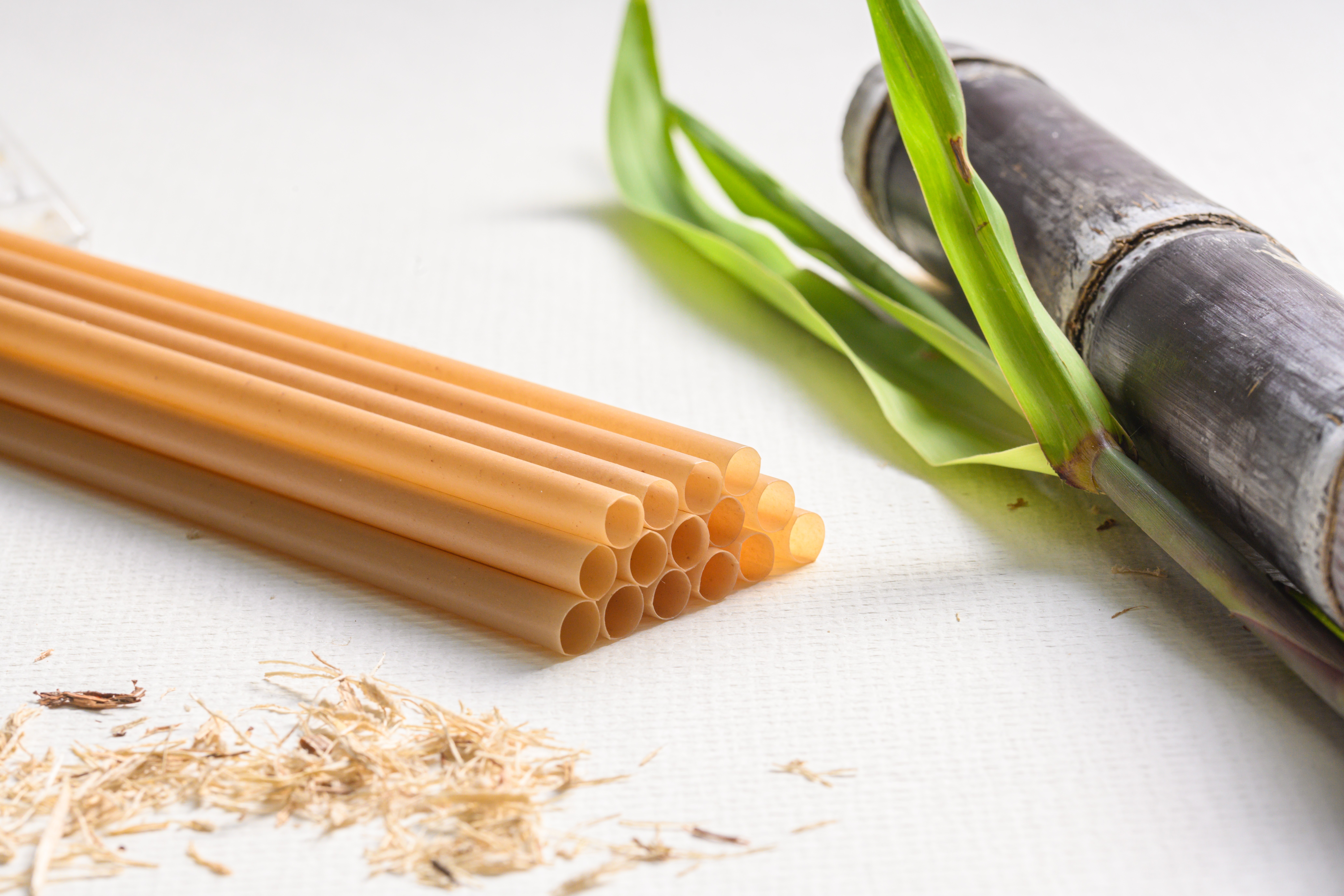 Sugarcane straws