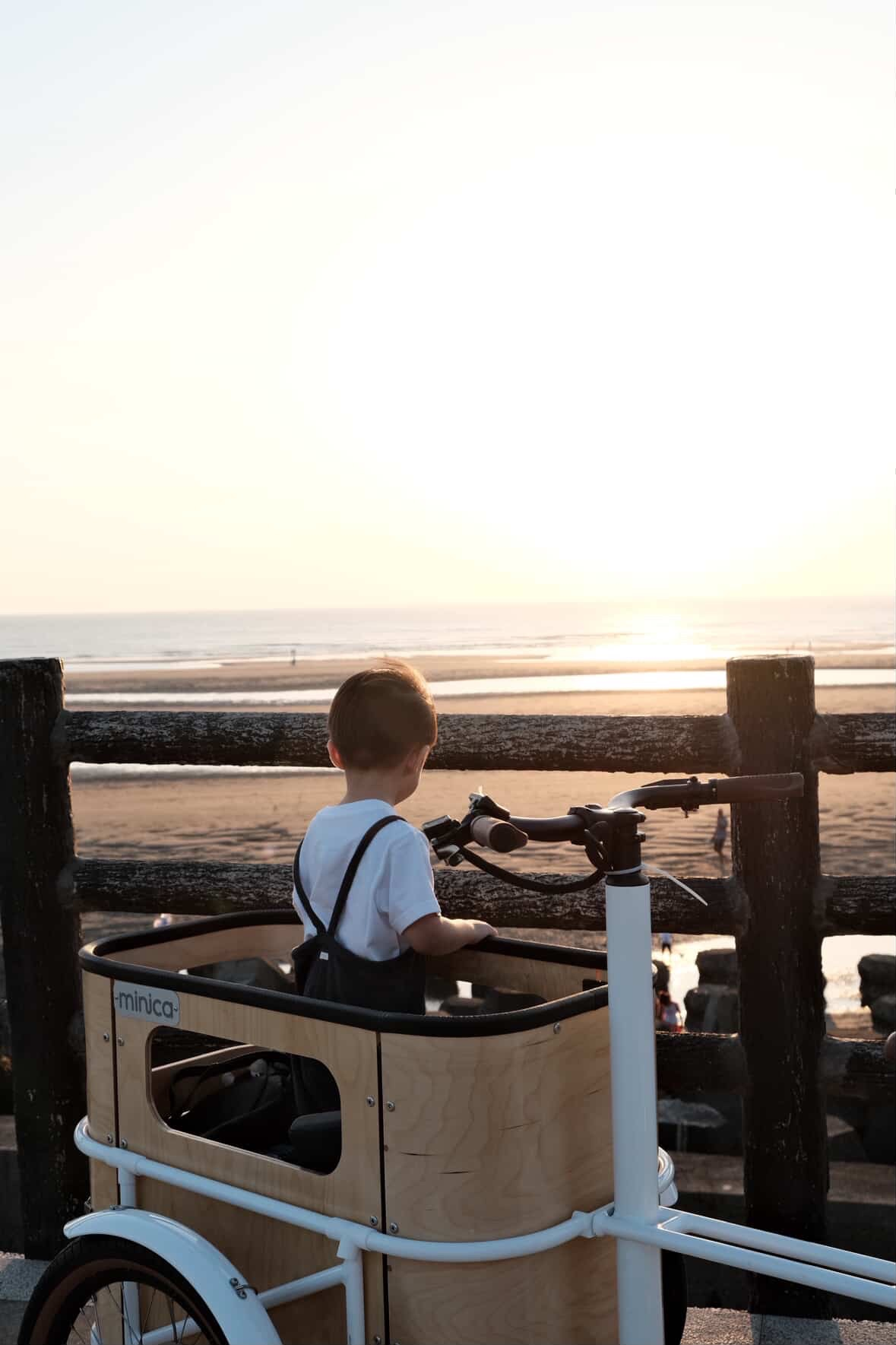 minica 電動貨運自行車
