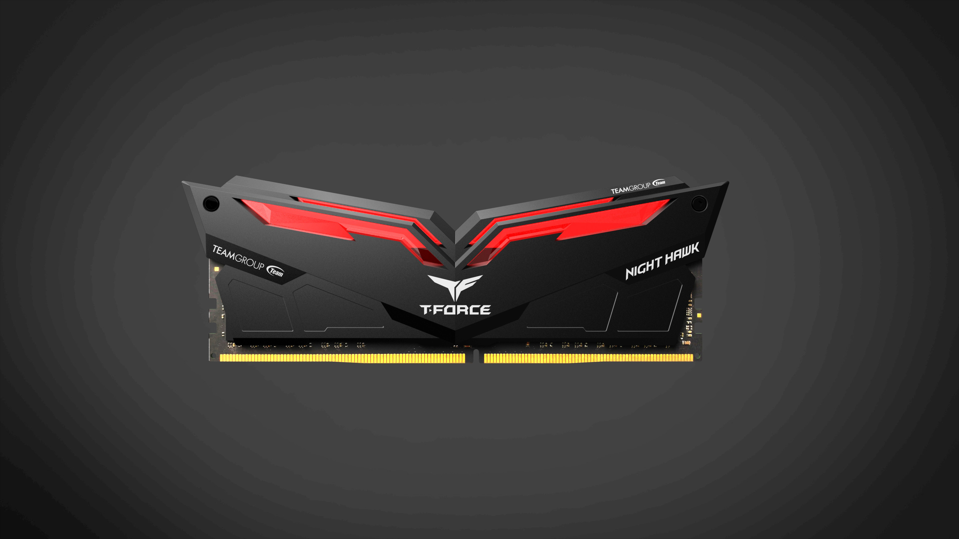 Night Hawk DDR4 RGB DRAM Memory Module / Team Group Inc.