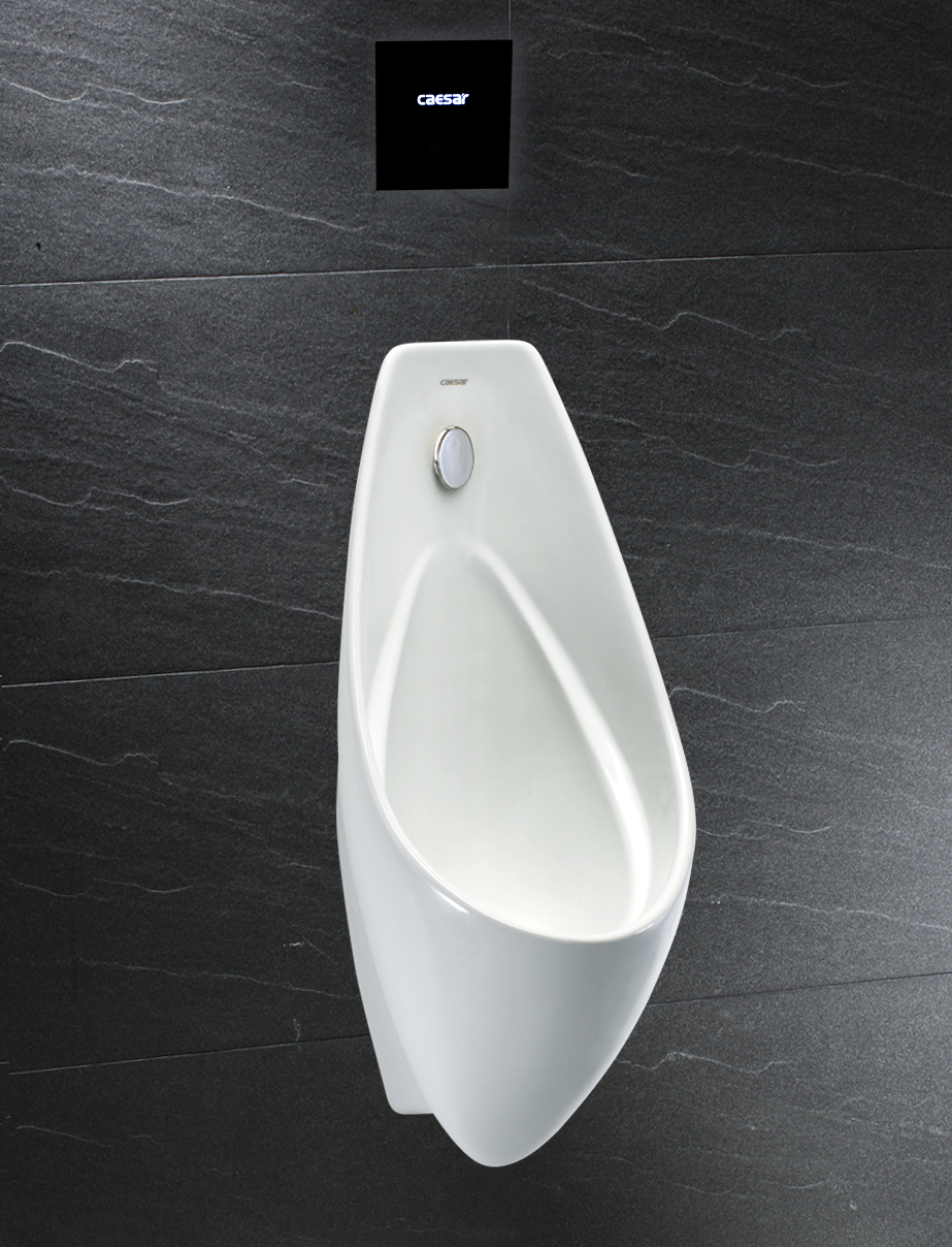 Urinal