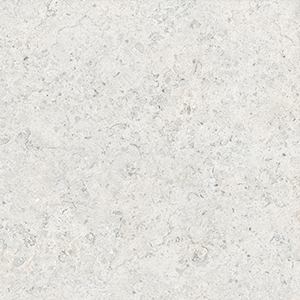 Fossil Shells  Inkjet Printing Porcelain Tile / White Horse Ceramic Co., Ltd.