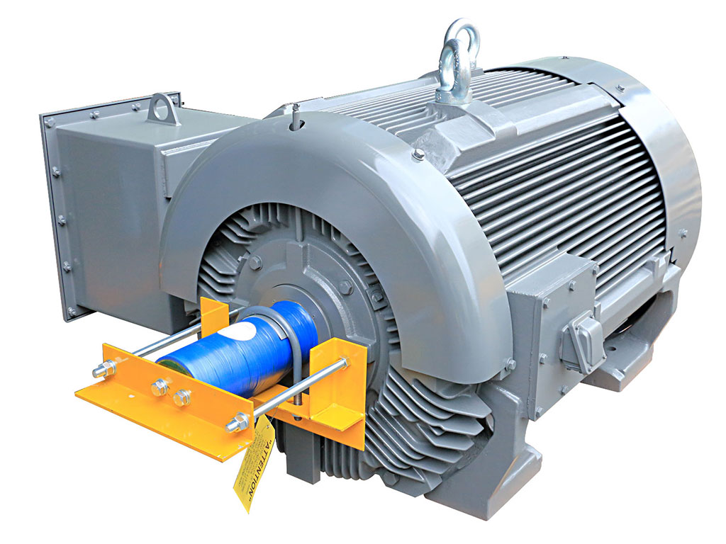 NEMA Premium Crusher Duty smart Motor-TECO ELECTRIC & MACHINERY CO., LTD.