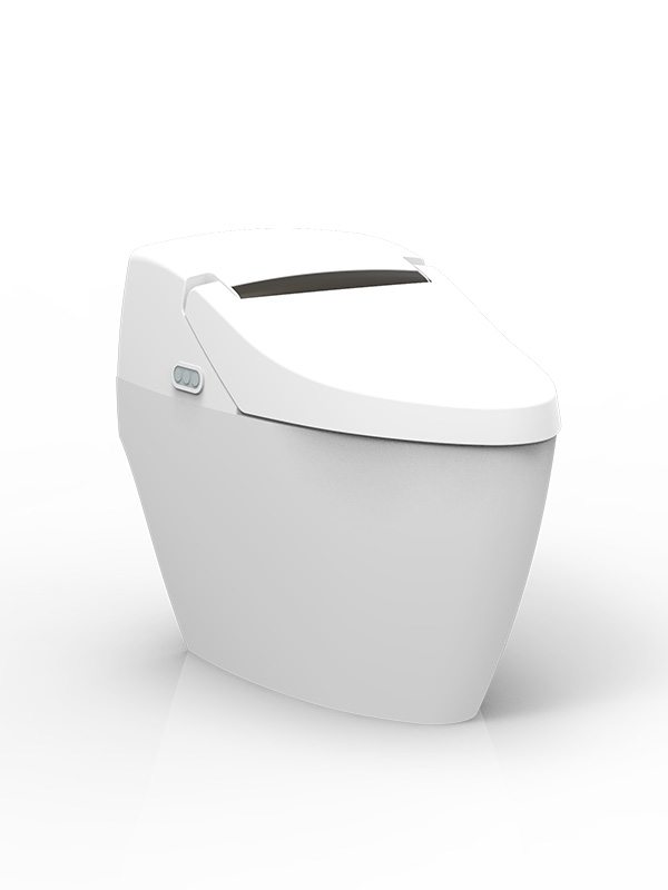 Intelligent Super Toilet