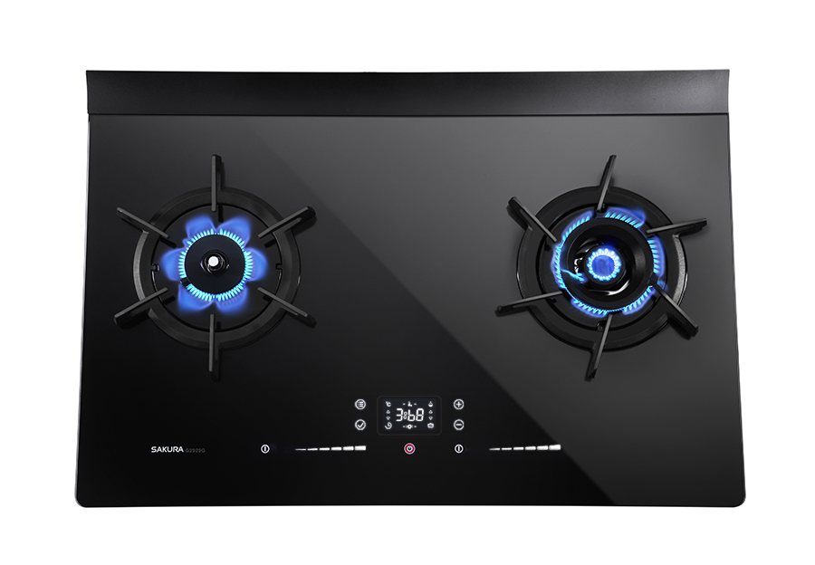 Touchscreen smart twin gas range