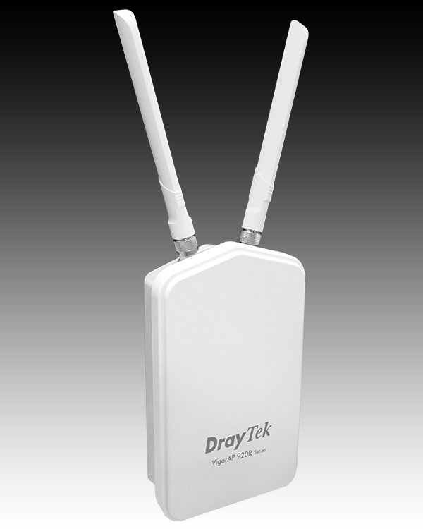 DrayTek VigorAP 920R Outdoor Wireless AP
