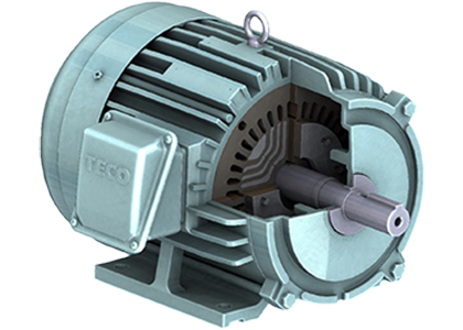 自己起動型同期リラクタンスモータ / 東元電機股份有限公司（TECO）