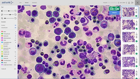 Bone Marrow Smear Differential Counting / aetherAI Co., Ltd.