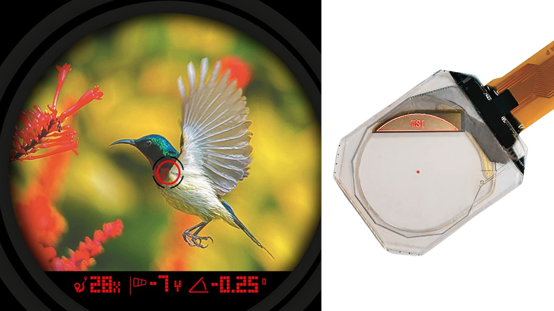 淨透無痕三視透明OLED顯示模組